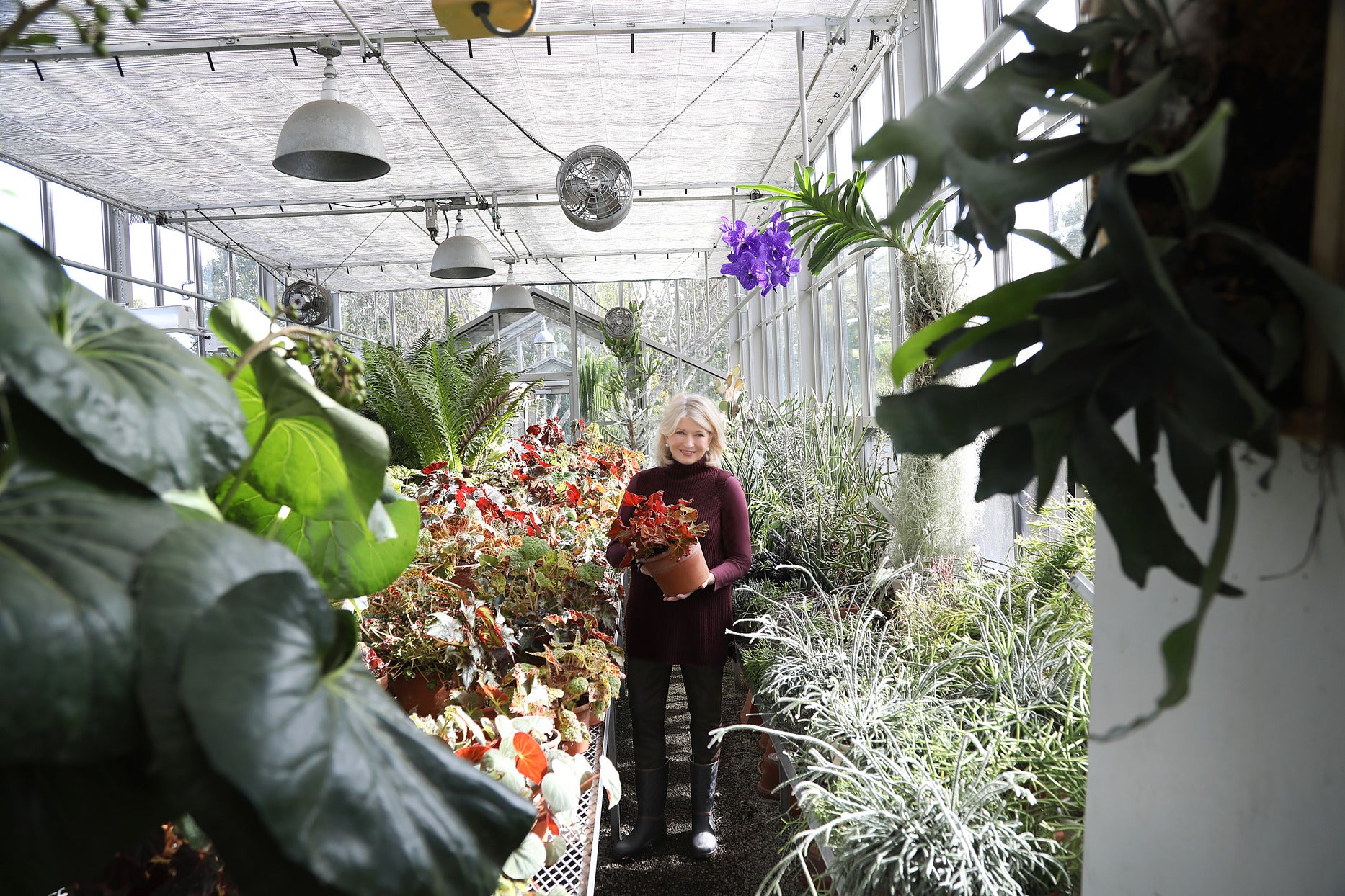 Martha Stewart CBD Martha in her greenhouse